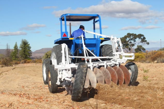 Plowing the land